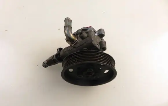 Volkswagen Bora Power steering pump 1J0422154B