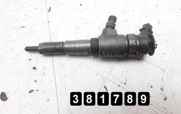 Peugeot 207 Fuel injector 1400hdi0445110252565889