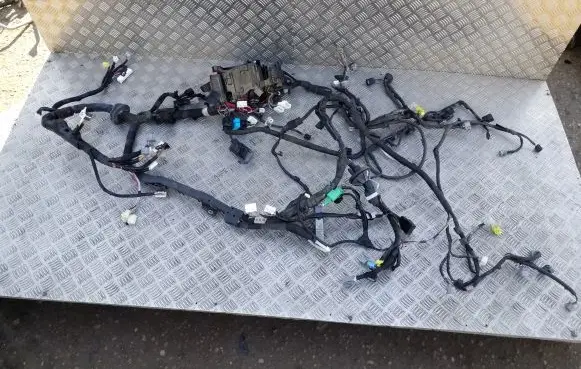 Lexus CT 200H Other wiring loom 8211176070A 8211176070