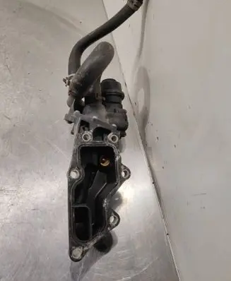 Renault Captur Thermostat housing 110601073a