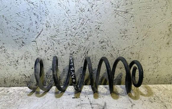 Renault Megane III Rear coil spring