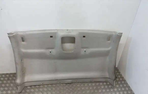 Peugeot Expert Headlining 98082914BJ