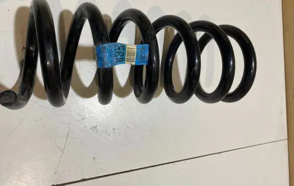 Ford Mustang VI Rear coil spring FR3C5560BE