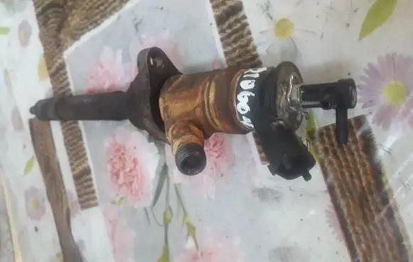 Citroen C4 I Fuel injector 081220066656