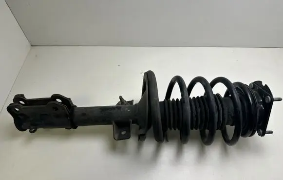Ford Mustang V Front shock absorber/damper BR3318183CF