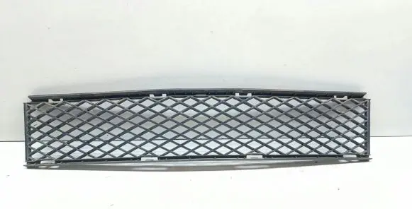 BMW 7 E65 E66 Front bumper lower grill 7135573 51117135573