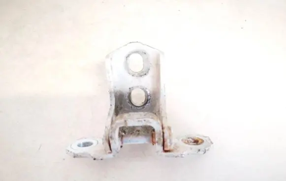 Rear door lower hinge