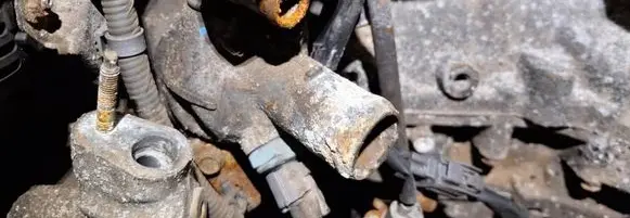 Honda Accord Engine coolant pipe/hose