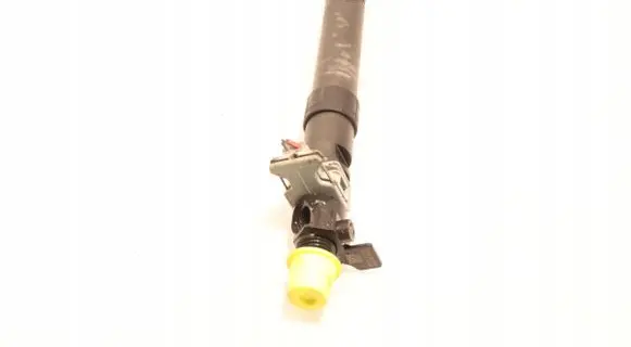 Citroen C4 I Picasso Fuel injector 9686191080
