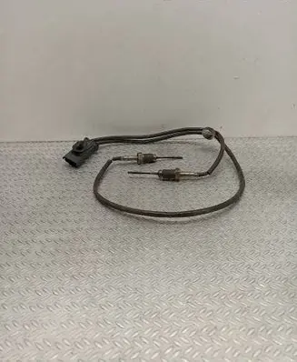 Peugeot 308 Exhaust gas temperature sensor 9812376480