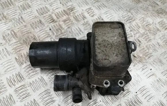 Renault Megane IV Oil filter mounting bracket 213058627R