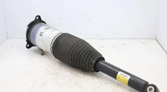 Tesla Model S Rear shock absorber/damper 6006353-00-C