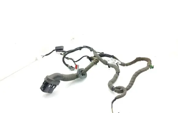 Ford Focus Front door wiring loom DM5T14K138ABC DM5T14K138 12758974