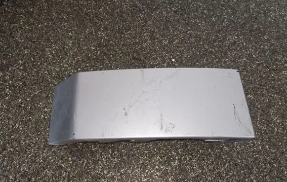 Rear/tail light trim molding