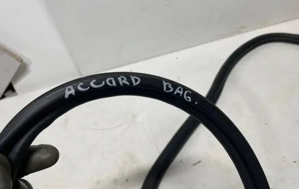 Honda Accord Loading door rubber seal (on body) 