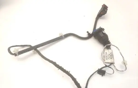 Rear door wiring loom