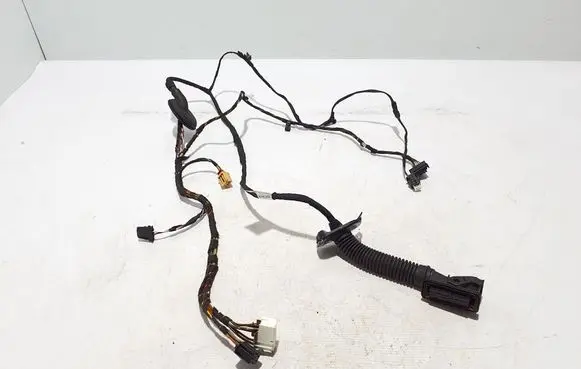 Other wiring loom