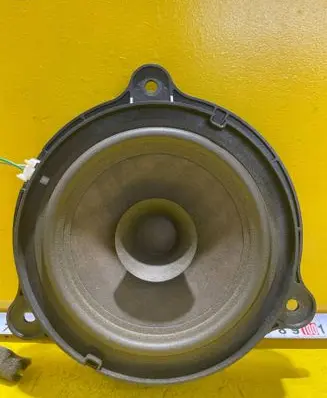 Rear door speaker