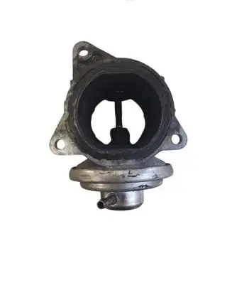 Seat Toledo III (5P) EGR valve 038129637D