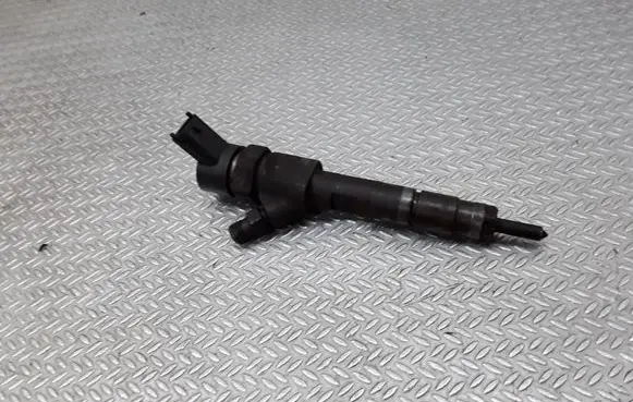 Renault Espace - Grand espace IV Fuel injector 0445110110B