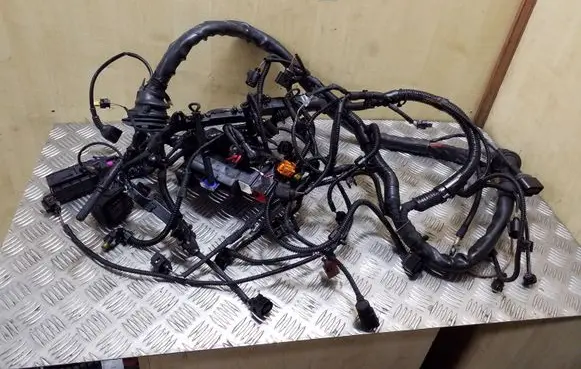 Engine installation wiring loom