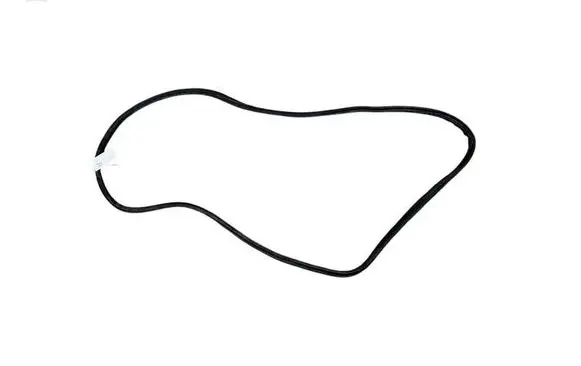 BMW X3 G01 Front door rubber seal 7393423