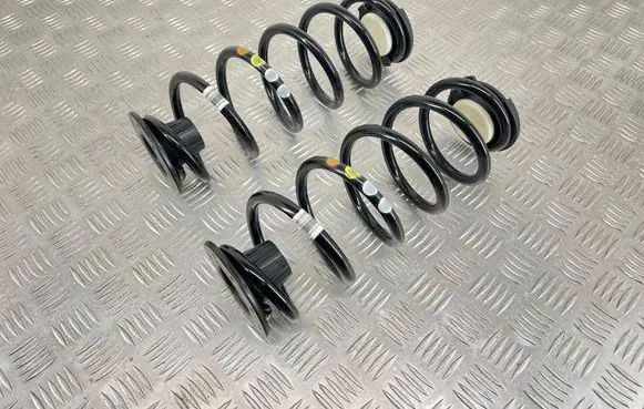 Rear coil spring