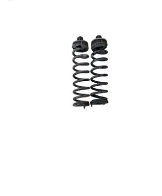 BMW 3 G20 G21 Rear coil spring