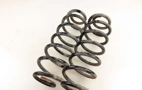 Volkswagen PASSAT B6 Rear coil spring 30A9036