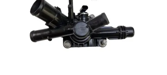 Thermostat/thermostat housing