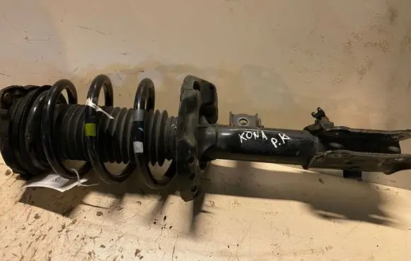Hyundai Kona I Front shock absorber with coil spring 54650K4000