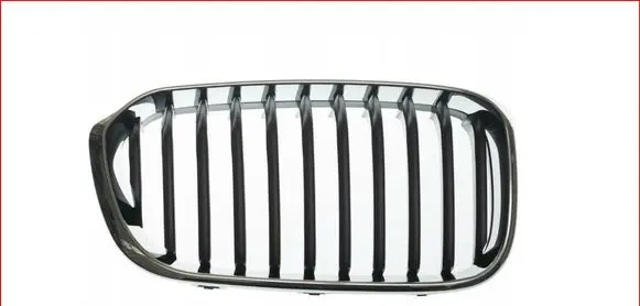 BMW 1 F20 F21 Front grill 51137371748