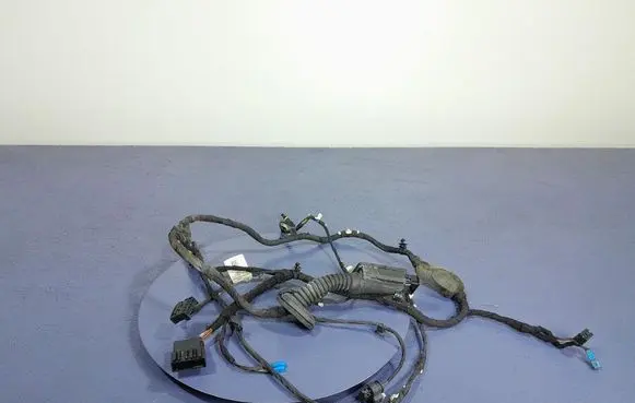 BMW X5 E53 Other wiring loom 8779790