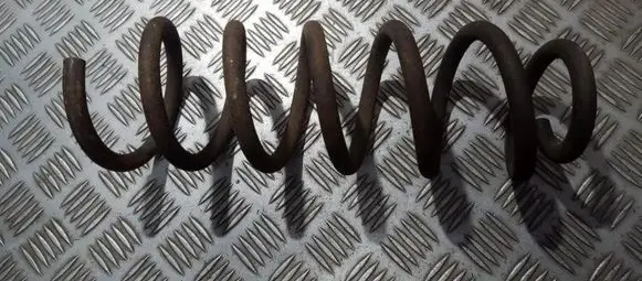 Peugeot 406 Rear coil spring