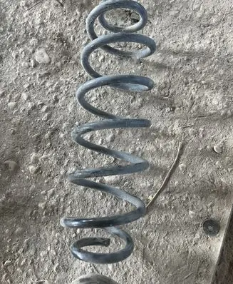 Volkswagen Bora Rear coil spring