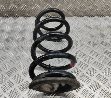 Tesla Model 3 Rear coil spring 104447201E