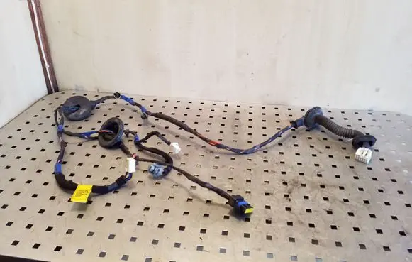 Hyundai Santa Fe Rear door wiring loom