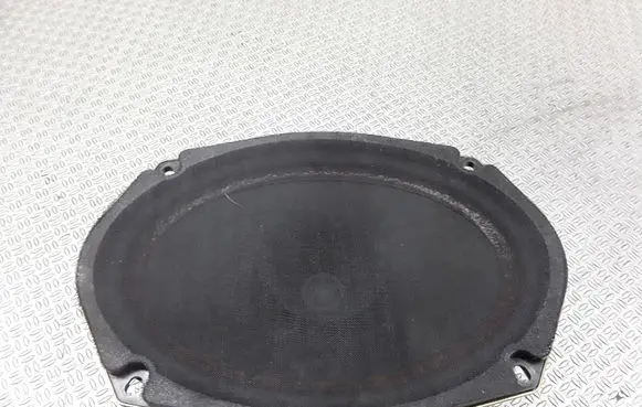 Rear door speaker