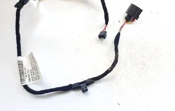 Cupra Born Other wiring loom 10e971157