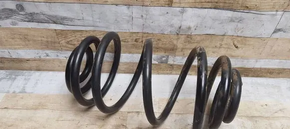 Rear coil spring