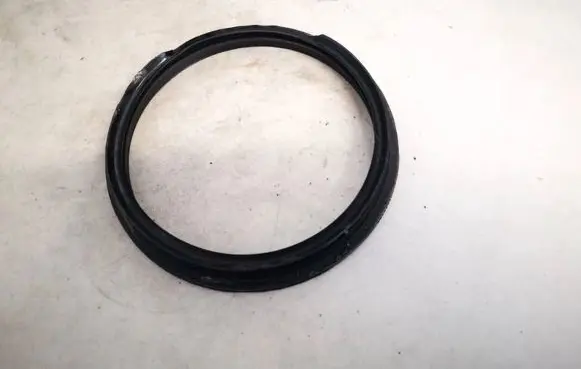 Volkswagen Golf V In tank fuel pump screw locking ring/nut 8e0919133