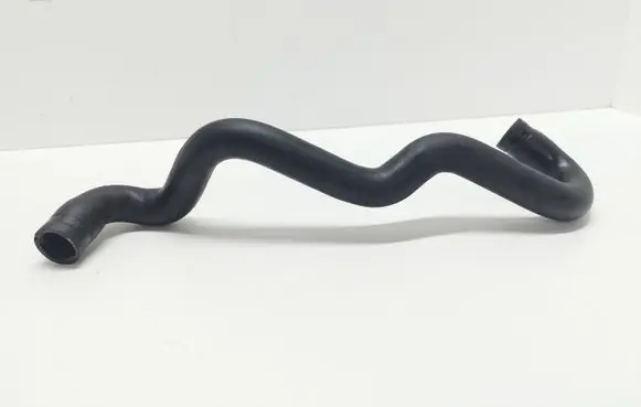 Dacia Sandero Engine coolant pipe/hose 8200750019