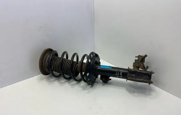 Opel Signum Front shock absorber with coil spring 312604