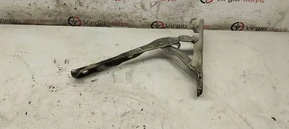 KIA Optima Engine bonnet/hood hinges JFLH