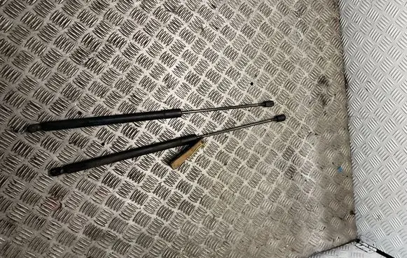 Ford S-MAX Tailgate/trunk strut/damper 