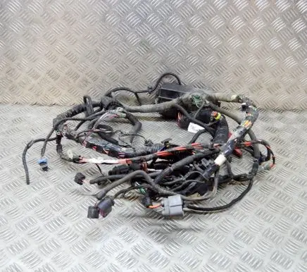 Tesla Model S Other wiring loom 100909604H