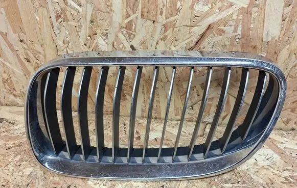 BMW 3 E92 E93 Front grill 51137254971