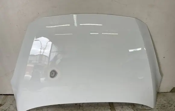 Ford Fiesta Engine bonnet/hood PH1BBA16610AH