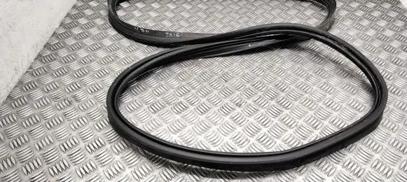 Trunk rubber seal (body)