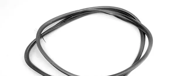 BMW X6 E71 Rubber seal front door (on door) 4879469